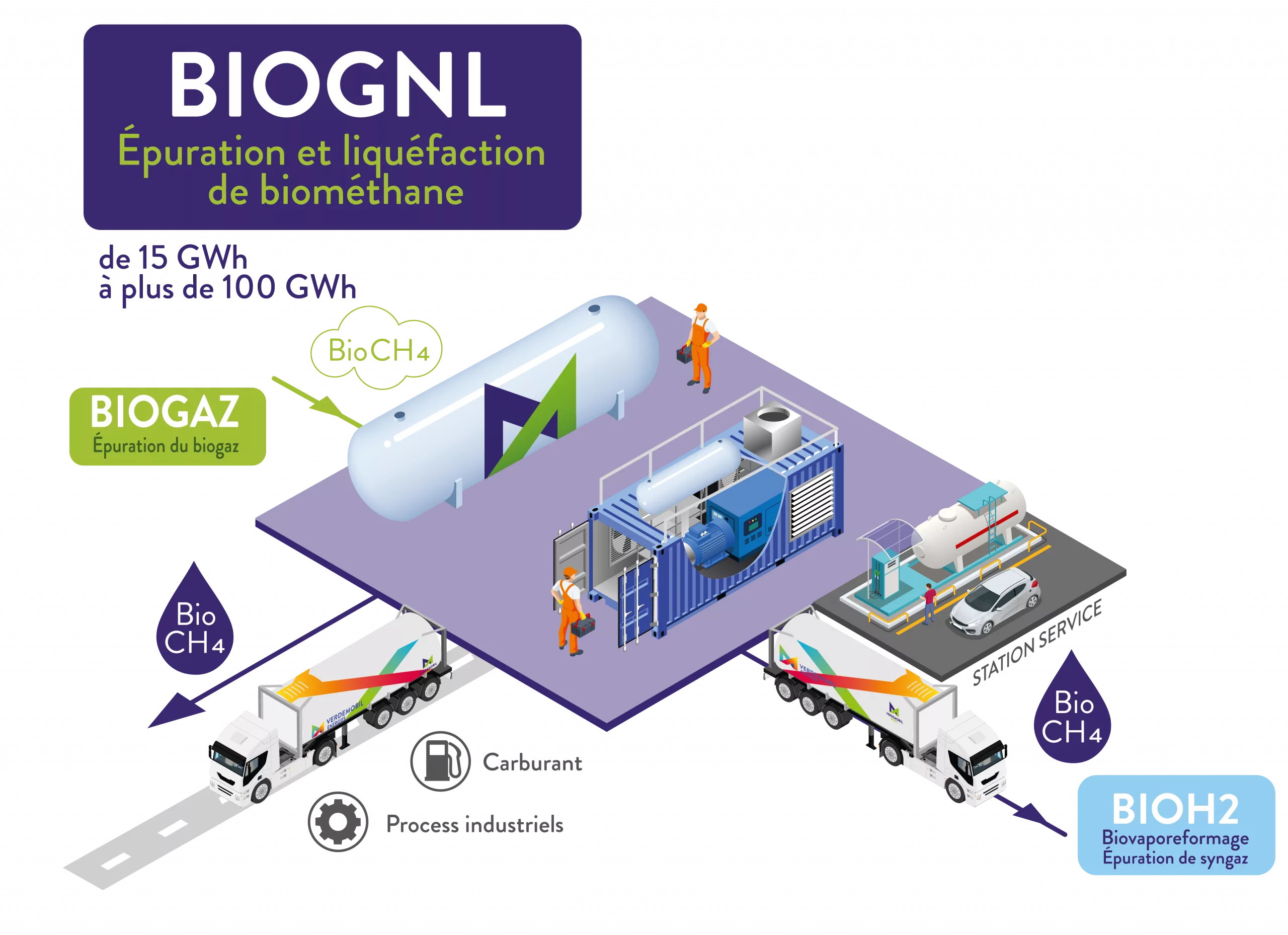 schema bioGNL